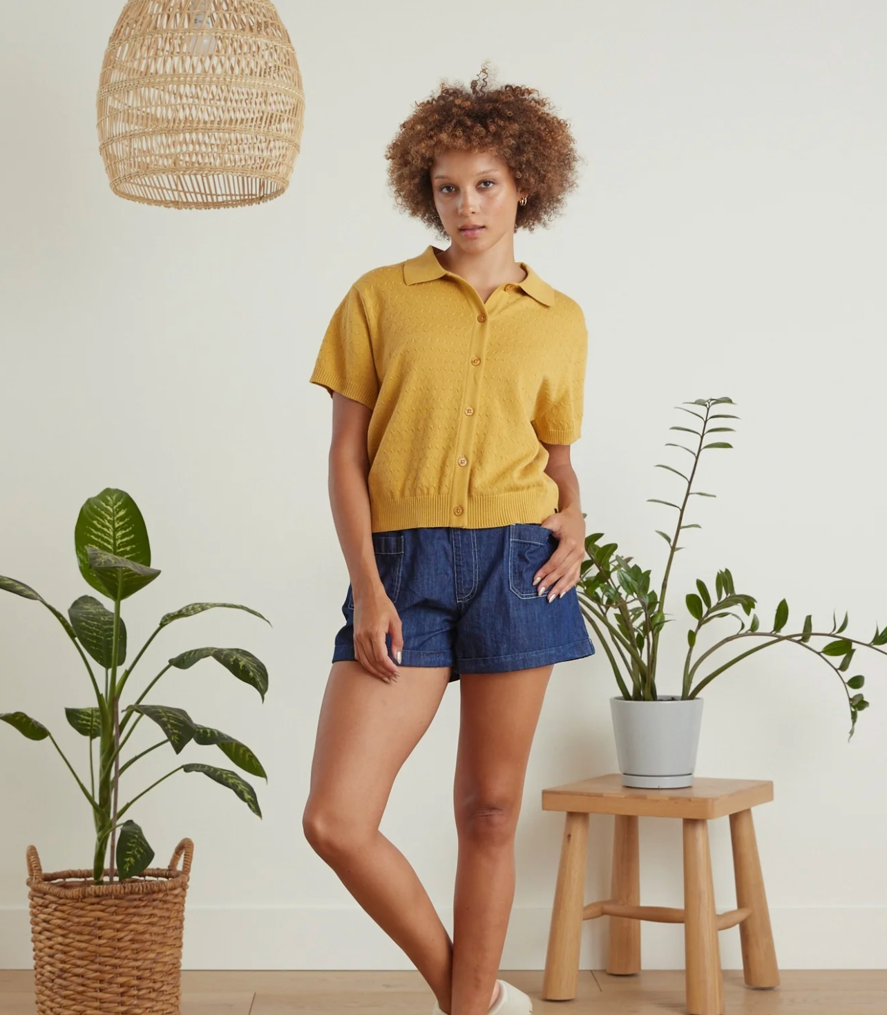 Antigua Cardi