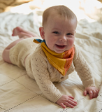 Colorblock Bandana Small Dog/Baby