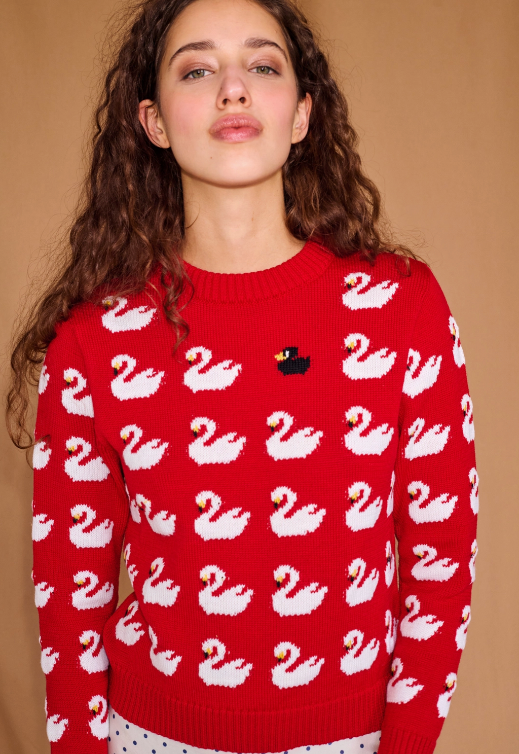 Ugly Duckling Sweater