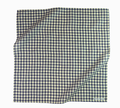 Blue and white checkered fabric on a white background