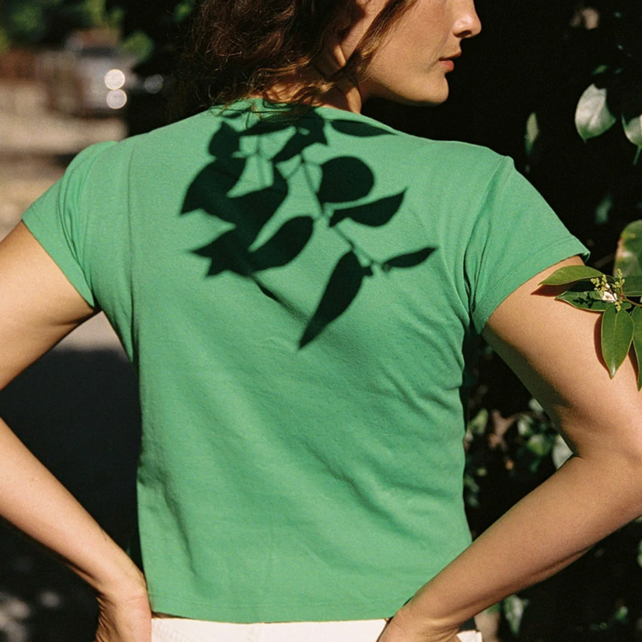 Pointelle Baby Tee
