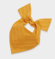 Arrow Dog Bandana