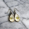 December Birth Flower Earrings