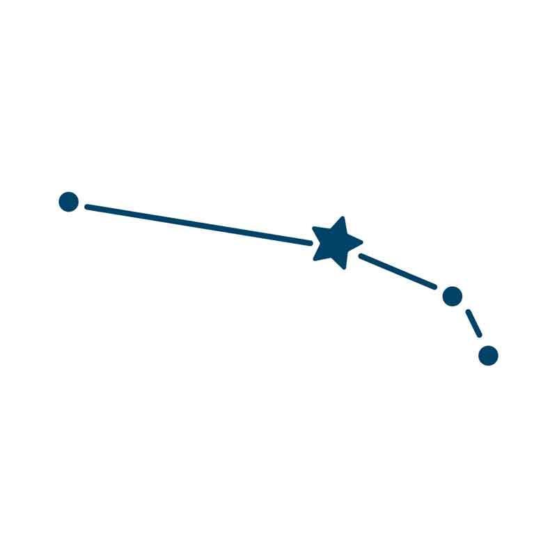 Zodiac Constellation Temporary Tattoo