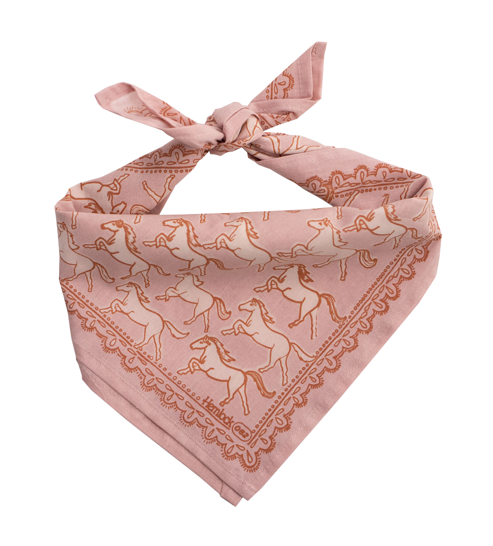 22" Horses Bandana 062